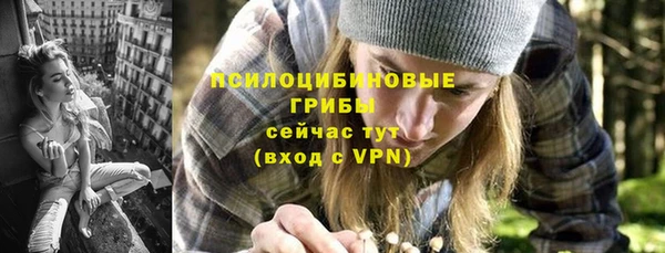 эйфоретик Пересвет