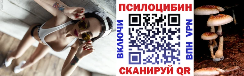 Псилоцибиновые грибы Psilocybine cubensis  Руза 